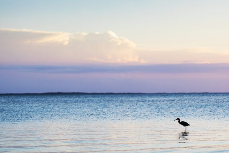 Seascapes