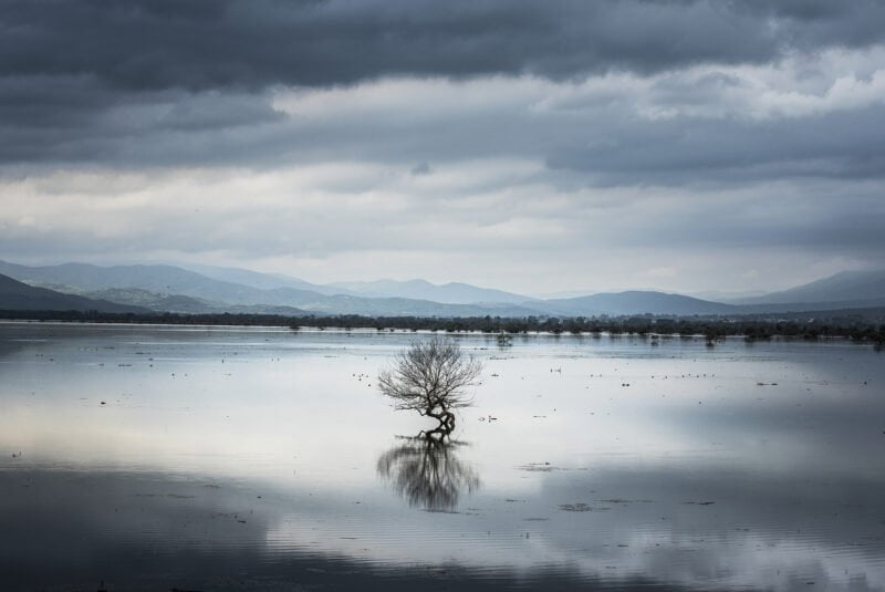 Kerkini