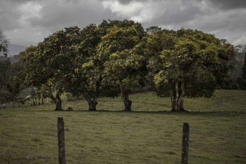 Costa Rica