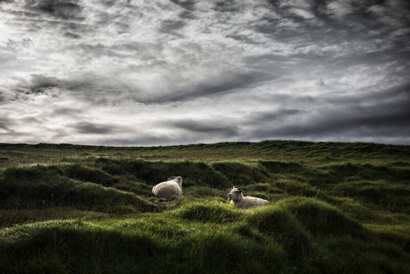 Iceland