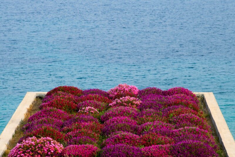Elivi Skiathos