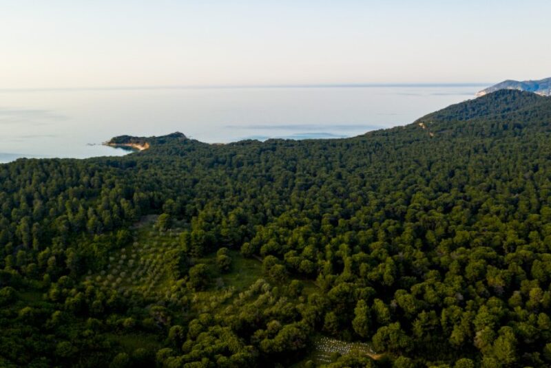 Elivi Skiathos