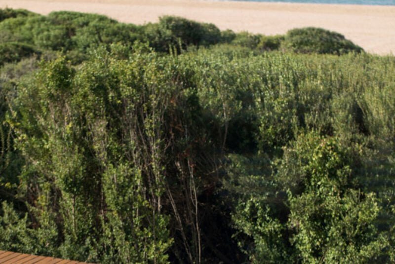 Costa Navarino