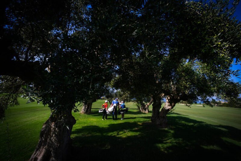 Costa Navarino