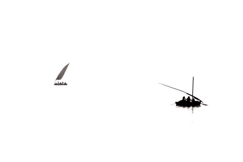 Variety Cruises