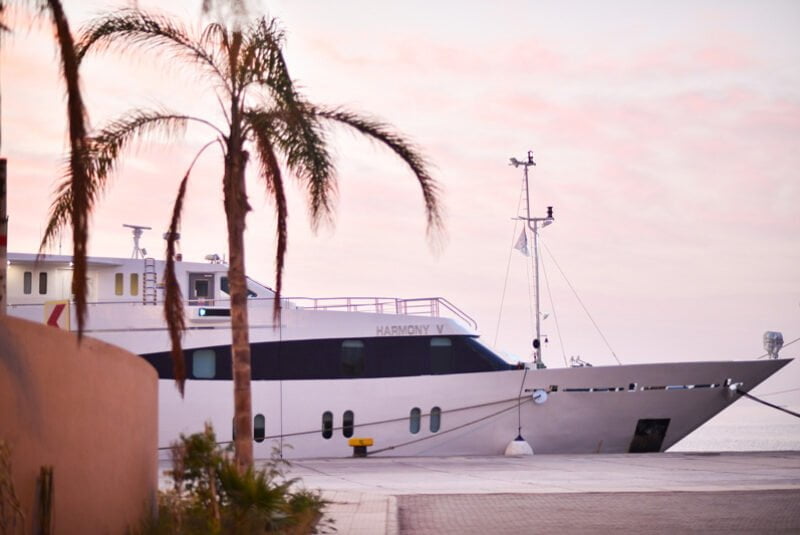 Variety Cruises